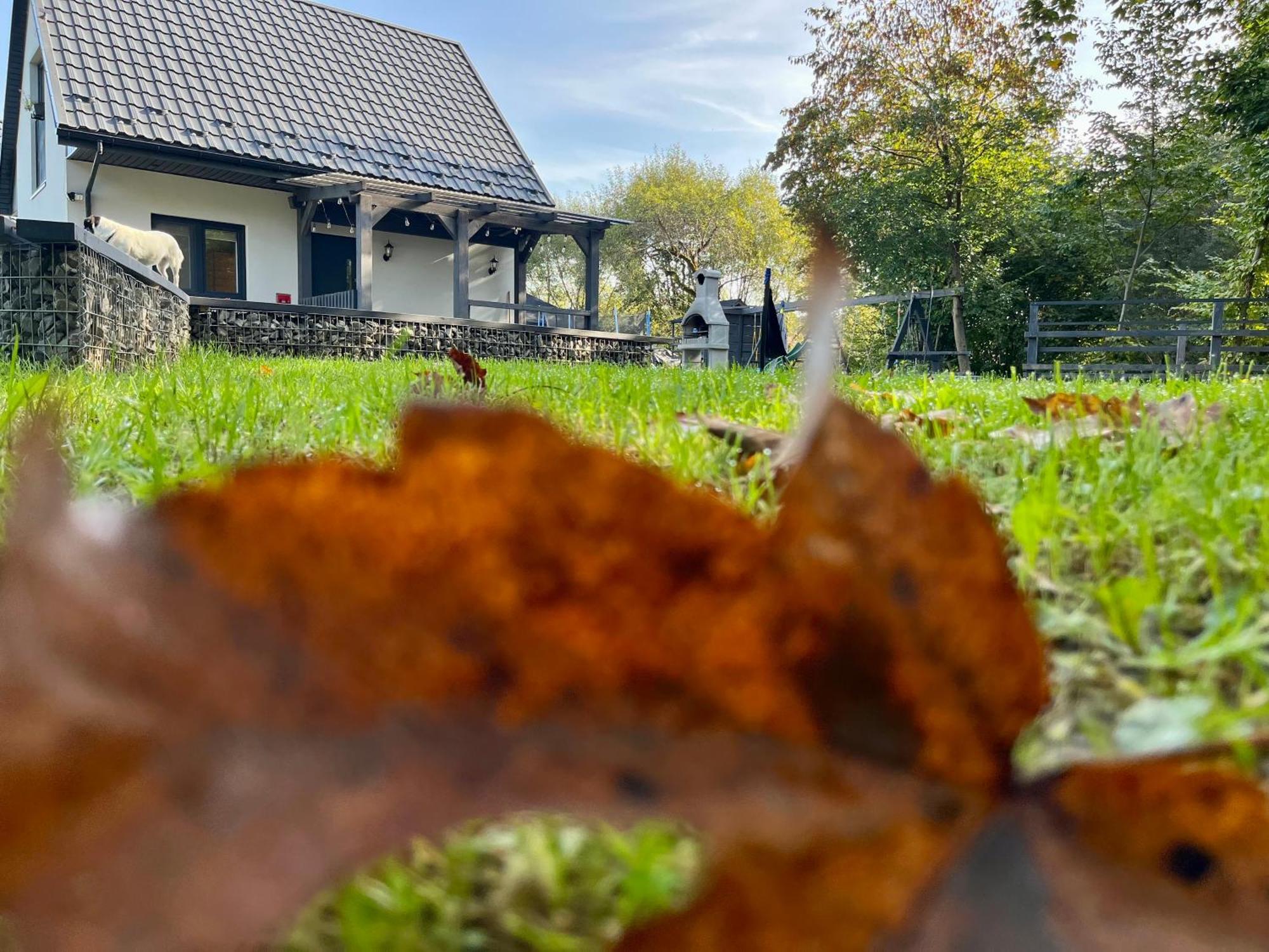 Domki Nad Starym Potokiem Ustrzyki Dolne Eksteriør bilde